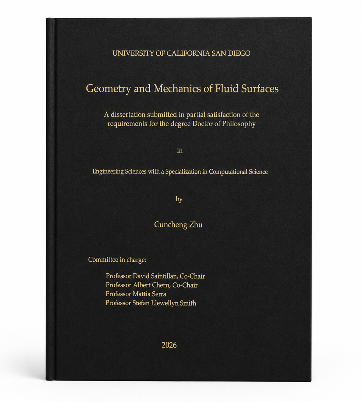 thesis_2026